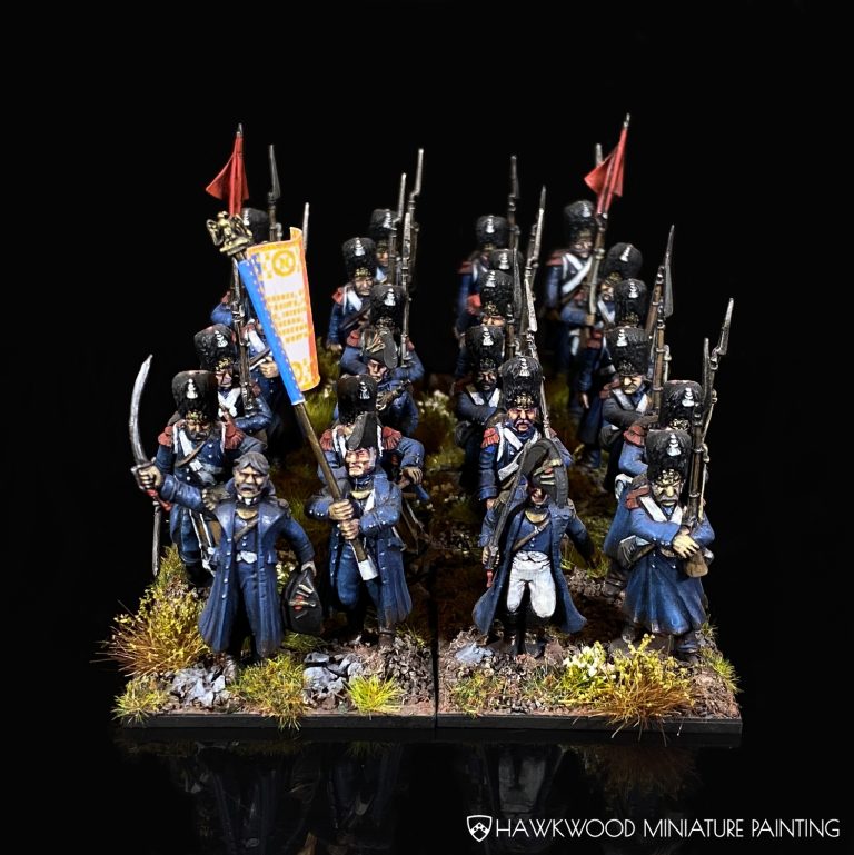 Napoleonic French 100 Days Campaign